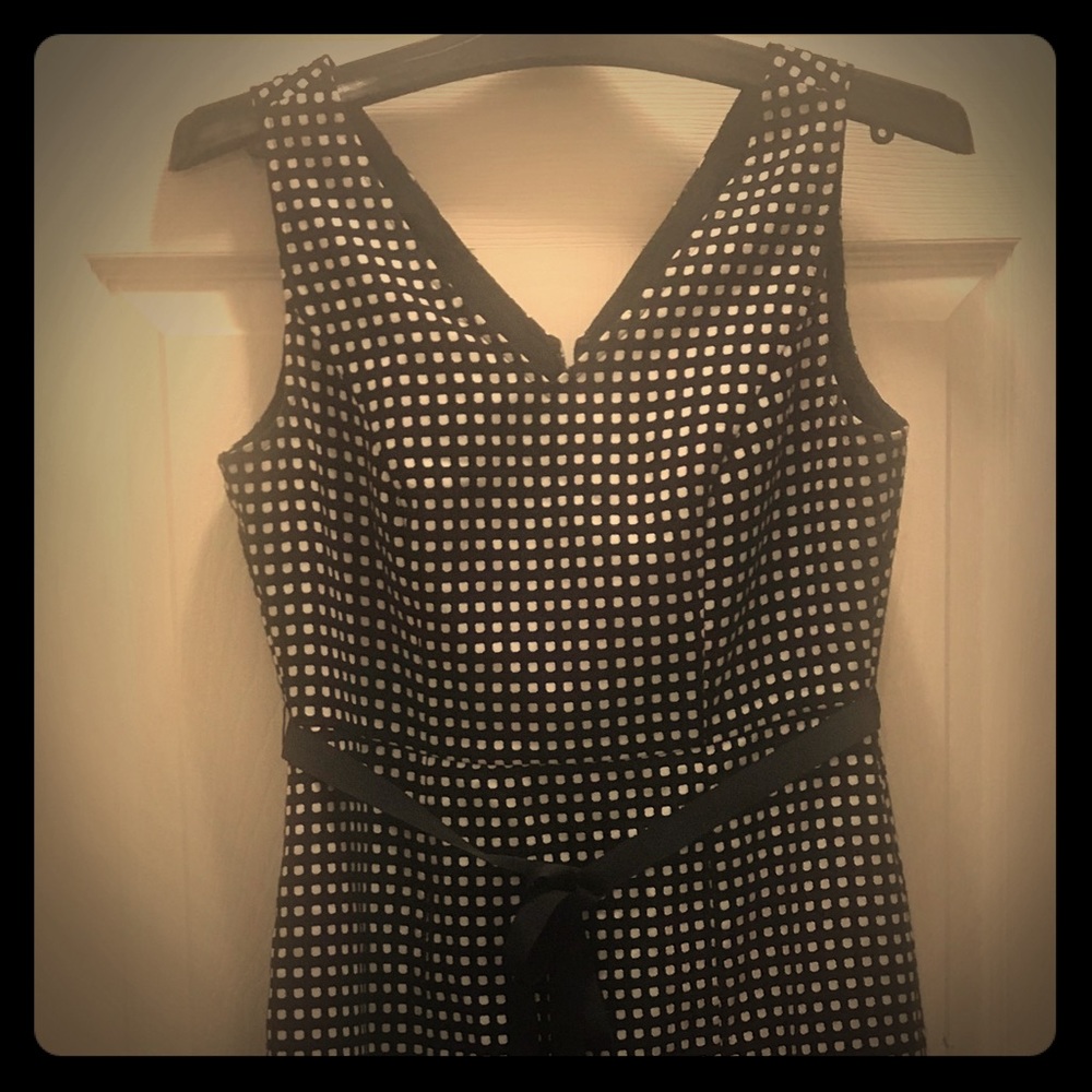 The Limited polka dot dress NWNT